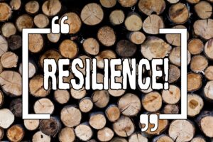 Resilience